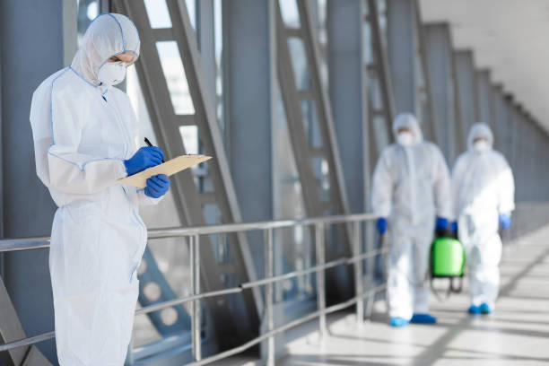  Beaver, PA Mold Removal Pros