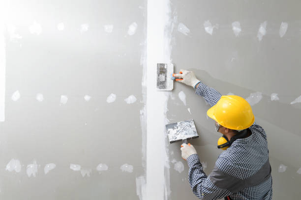 Best Post-Construction Mold Inspection  in Beaver, PA