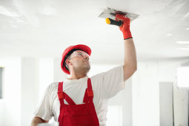 Trusted Beaver, PA Mold Removal Experts
