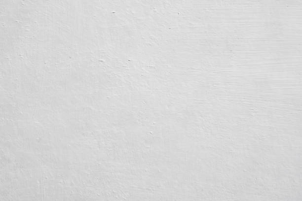 Best Mold Damage Restoration  in Beaver, PA